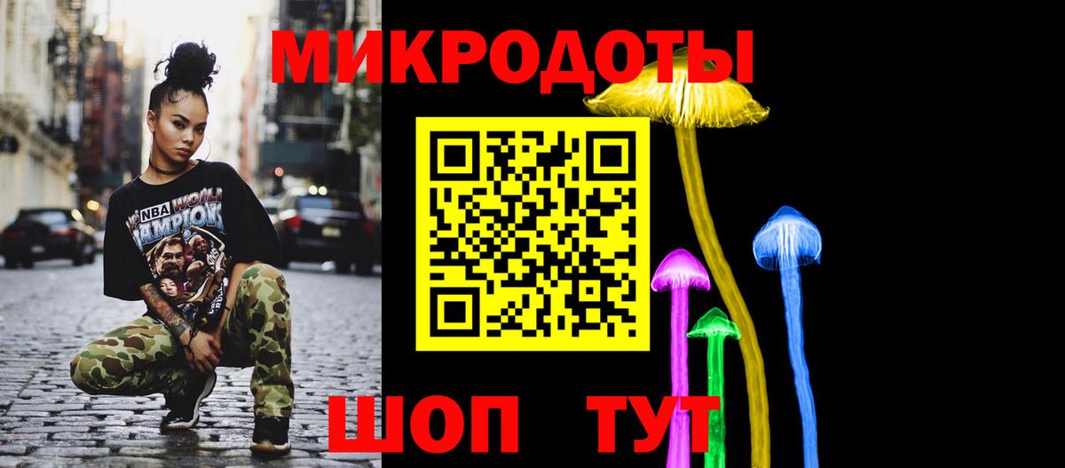 Галлюциногенные грибы Psilocybe  Вход с VPN  Ялуторовск 